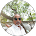 Chandra Sekar